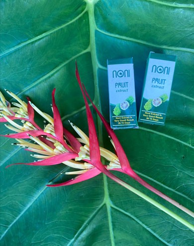 Noni Extract